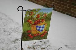 camera generated jpg